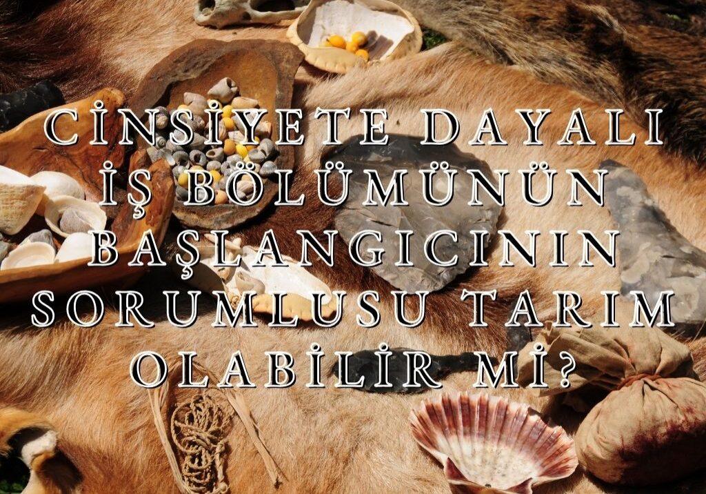 cinsiyete dayalı iş bölümü